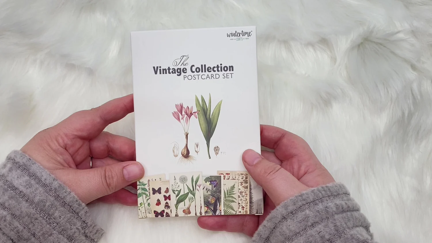 How I Accidentally Started a Vintage Postcard Collection